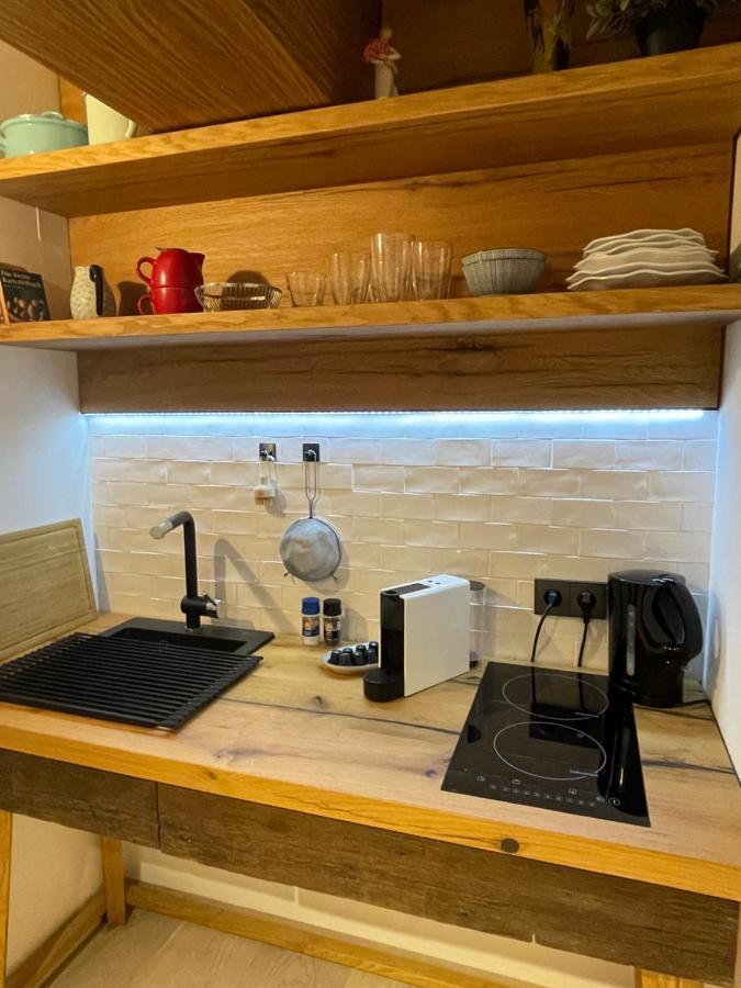 Downtown Apartament Viena